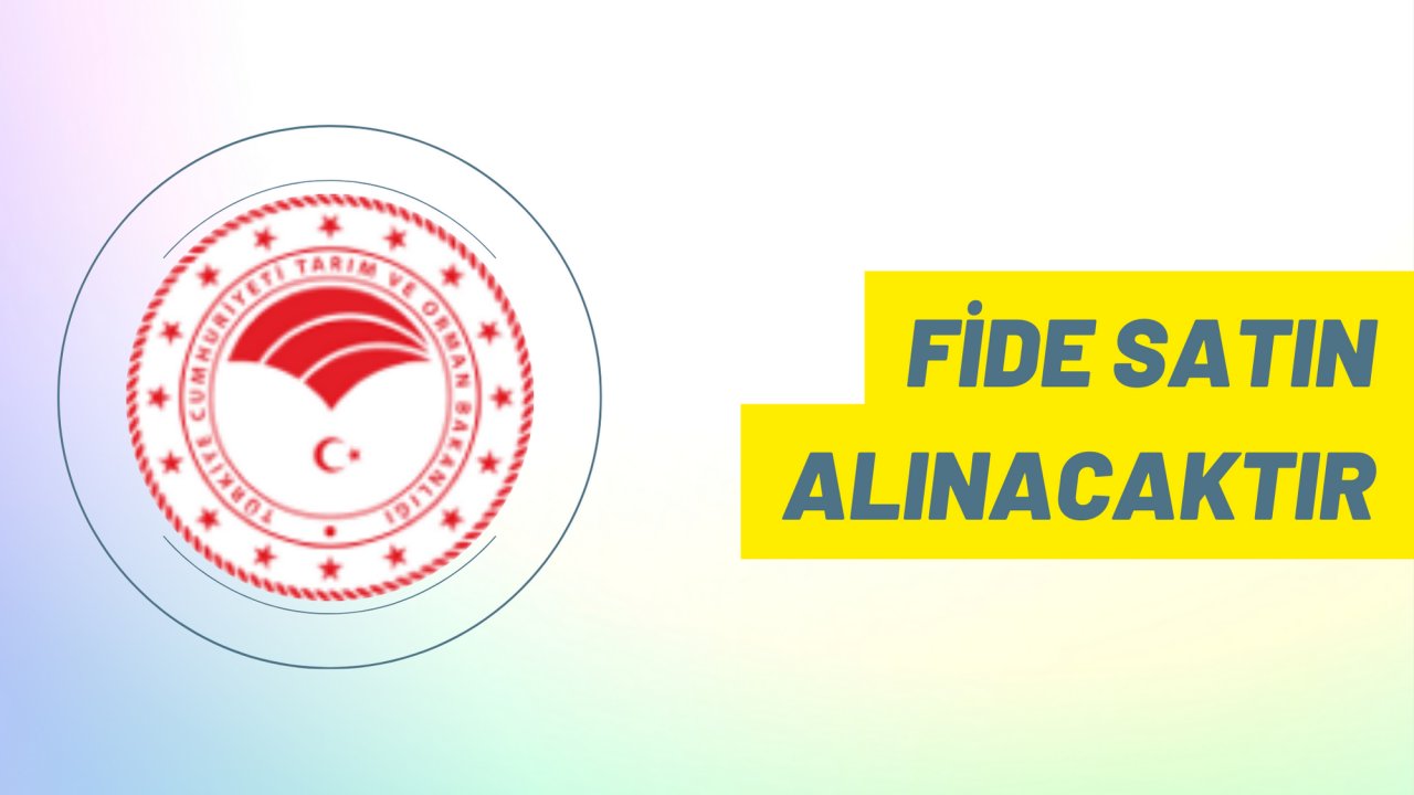 Fide satın alınacaktır