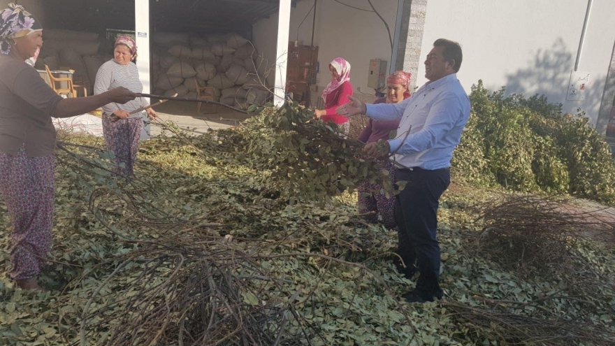 CHP’Lİ ALBAN: “Bütçeyi saraya değil çiftçiye harcayın”