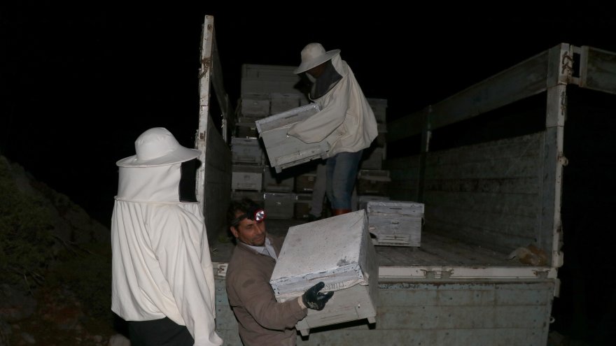 Arıcı çift, en kaliteli bal için diyar diyar geziyor
