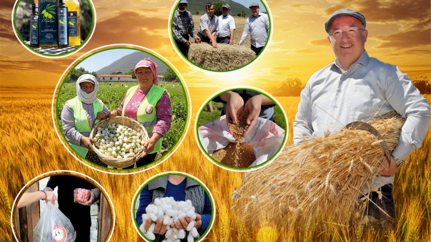 Tarım ve hayvancılığa 5 milyon 900 bin liralık destek sağlandı