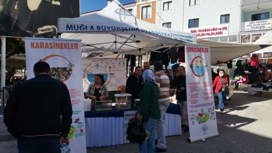 Büyükşehir vektörle mücadele için bilgilendirme stantları kurdu