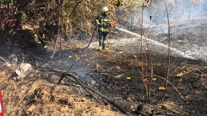 Menteşe’de temizlik ateşi nedeniyle yangın çıktı