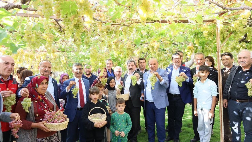 Seydikemer’de ‘Bağbozumu Şenliği’ düzenlendi