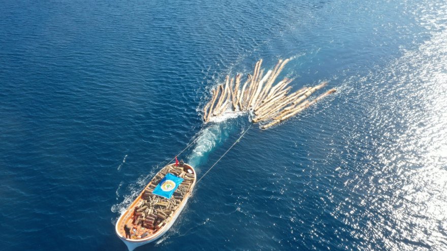 Karadan ulaşımın olmadığı noktalarda kesilen ağaçlar tekneyle taşındı