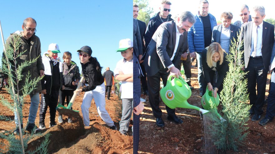Muğla’da 253 bin fidan toprakla buluştu
