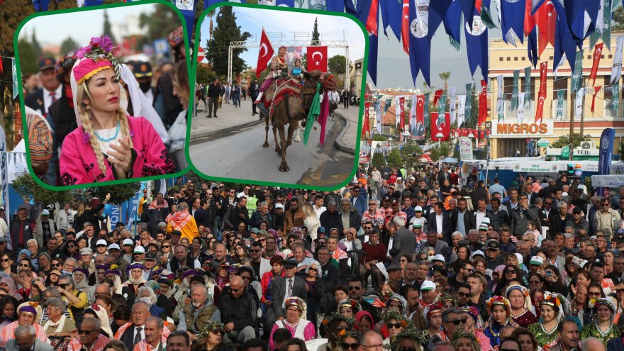 8. Milas Zeytin Hasat Şenliği yapıldı