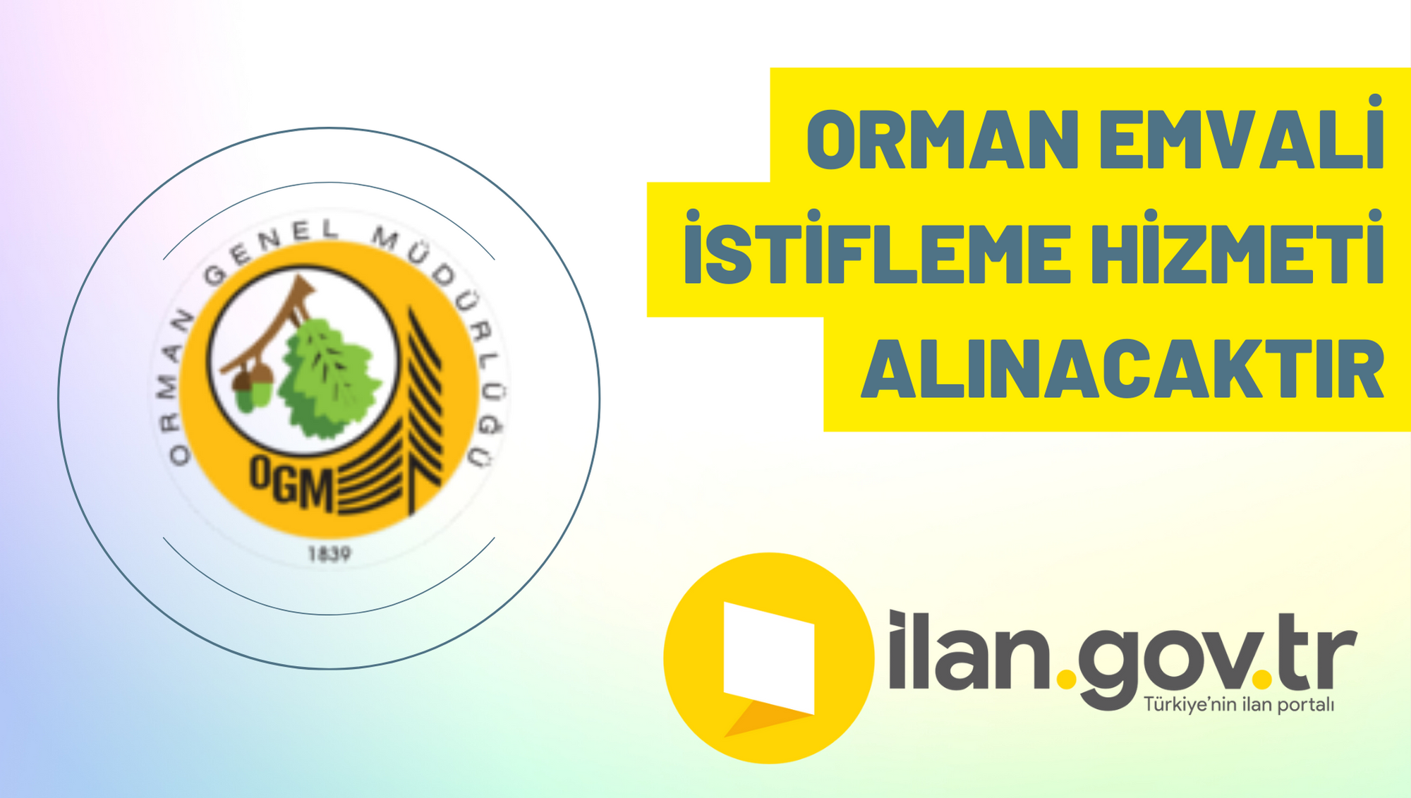 Orman emvali istifleme hizmeti alınacaktır