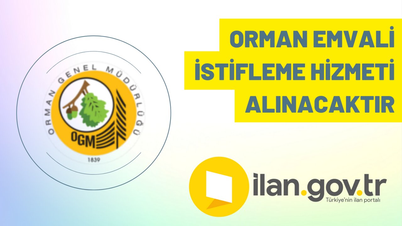 Orman emvali istifleme hizmeti alınacaktır