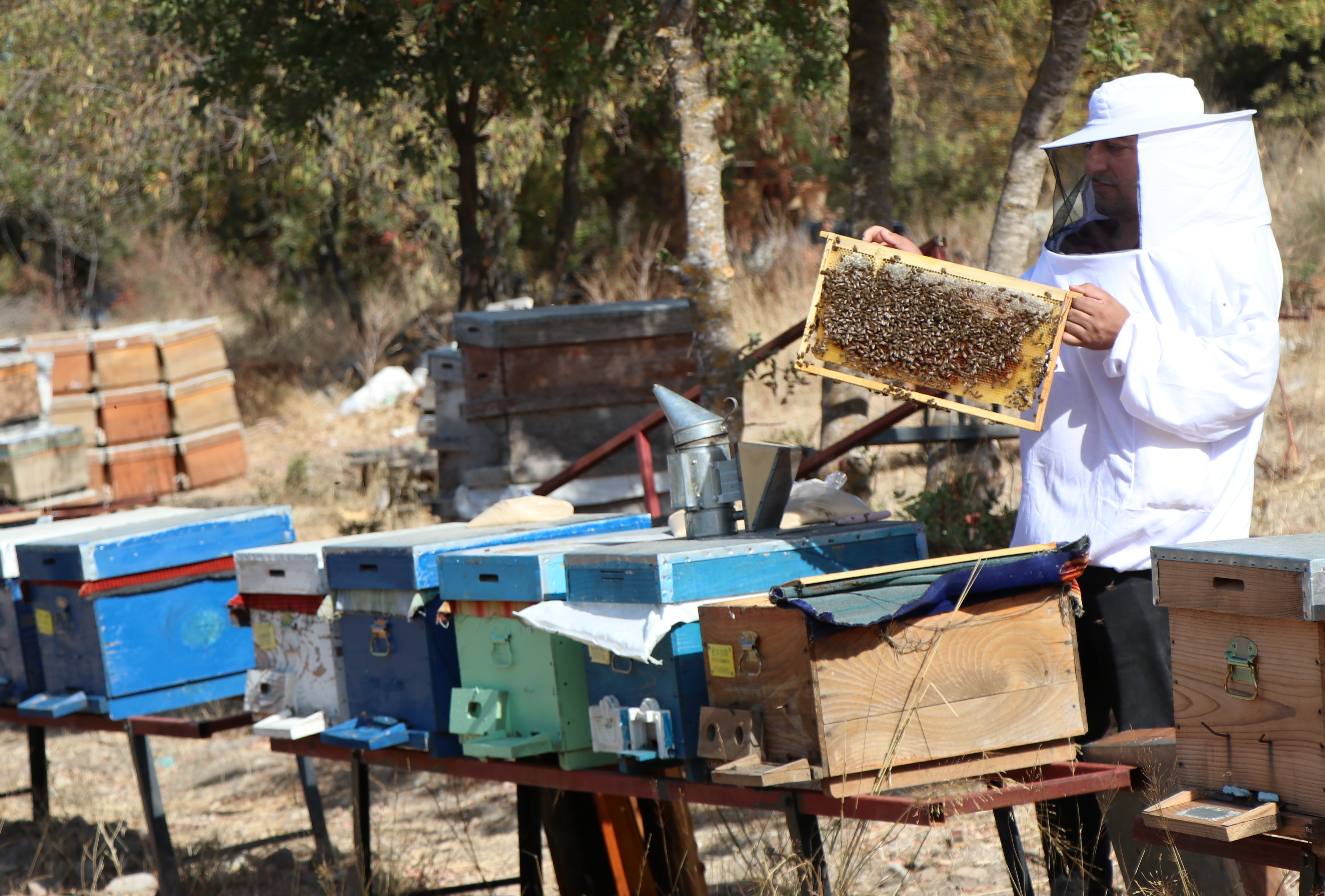 300 kovanı bulunan arıcı yeni meslektaşlar da yetiştiriyor