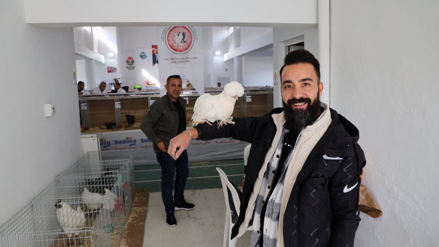 Kümes hayvanları gösterisi düzenleniyor