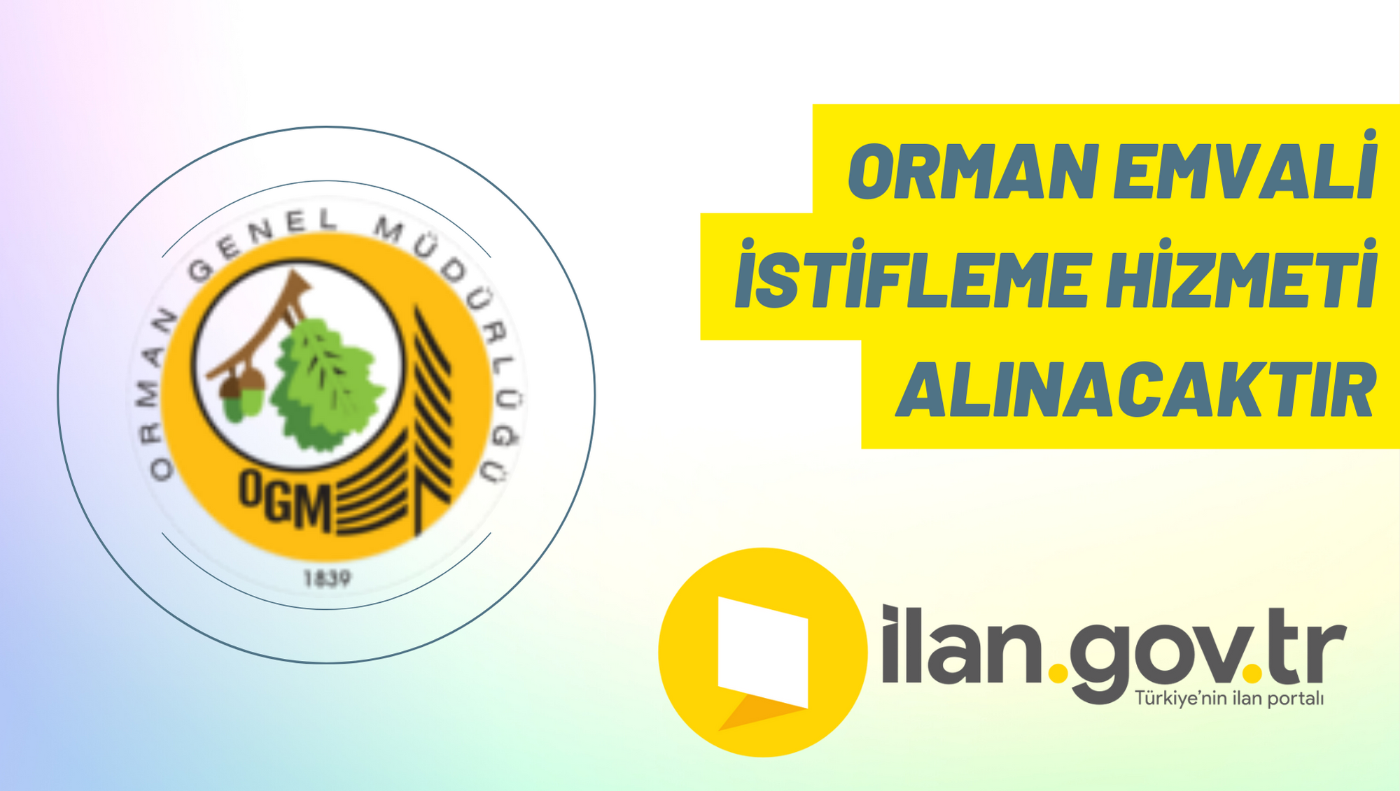 Orman emvali istifleme hizmeti alınacaktır