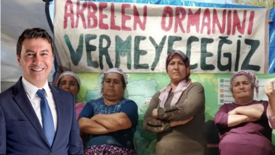 BODRUM BELEDİYESİ OGM’YE AKBELEN ORMANI İÇİN DAVA AÇTI