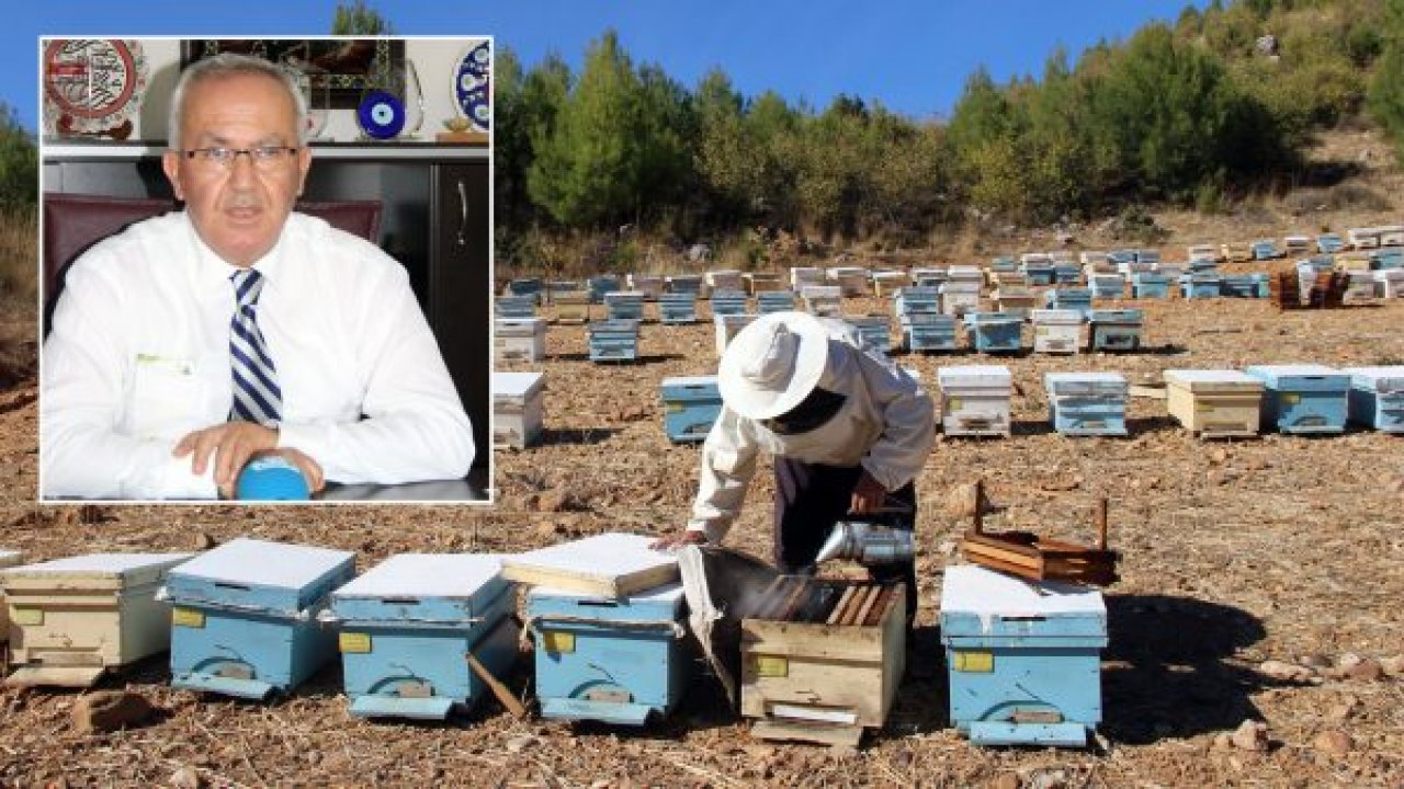 Sözleşmeli arıcılık modeli geliyor