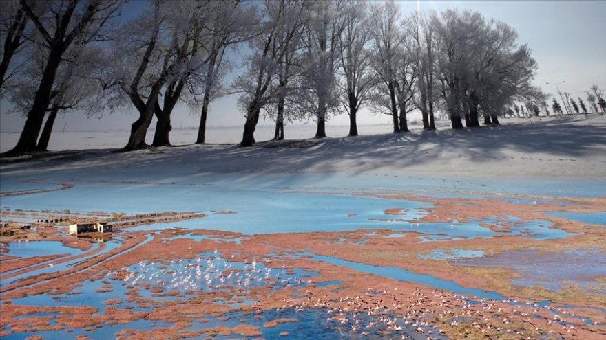 Kasımda sıcaklık en yüksek Milas'ta kaydedildi