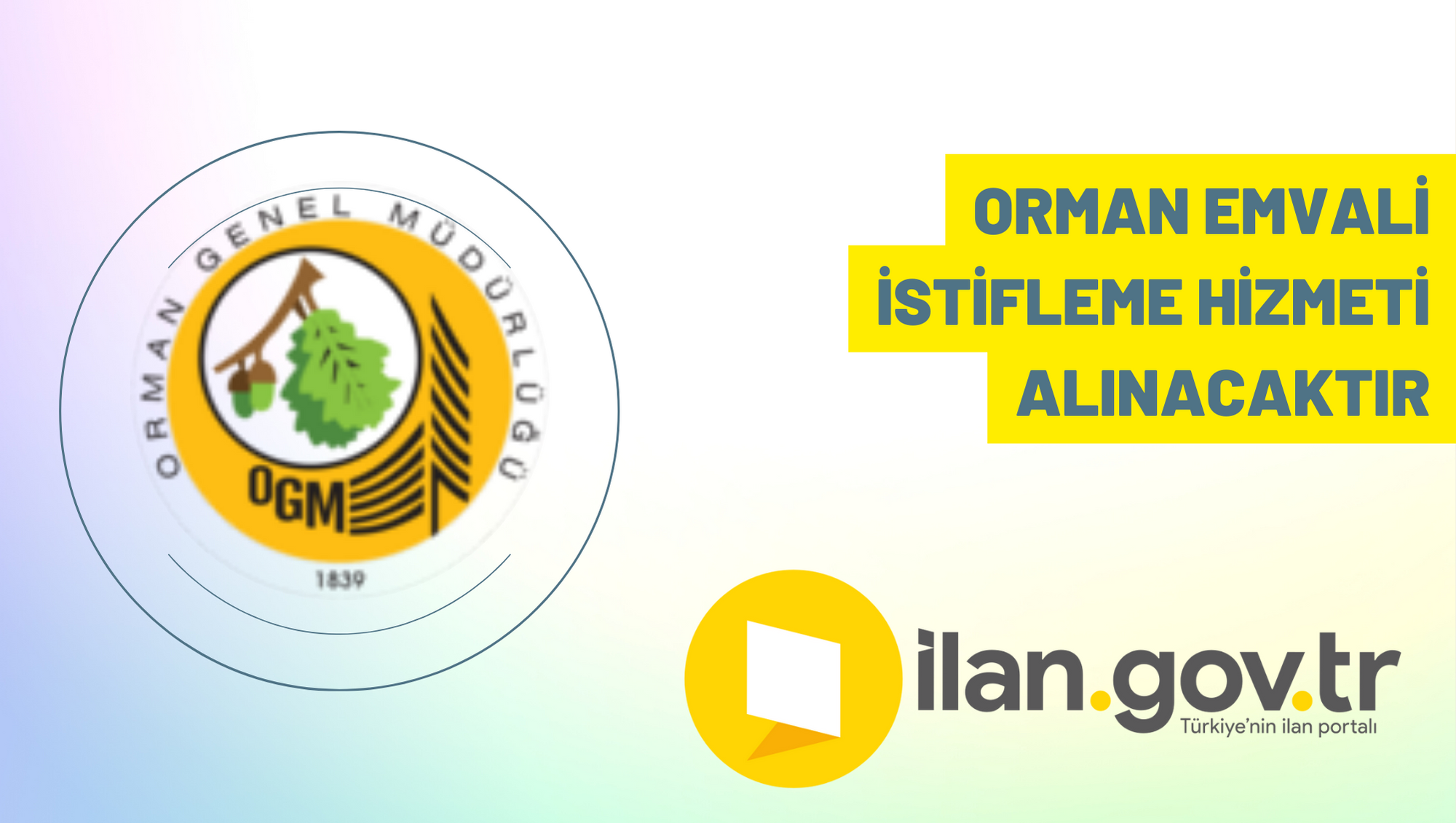 Orman emvali istifleme hizmeti alınacaktır