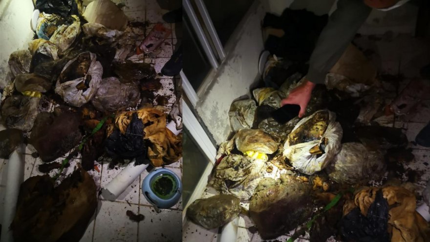 Marmaris’te bir evde çok sayıda çürümüş hayvan ölüsü bulundu