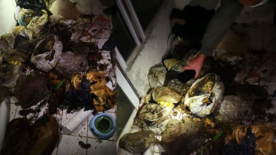 Marmaris'te 'Hayvan' dehşetinin faili akıl hastanesine gönderildi