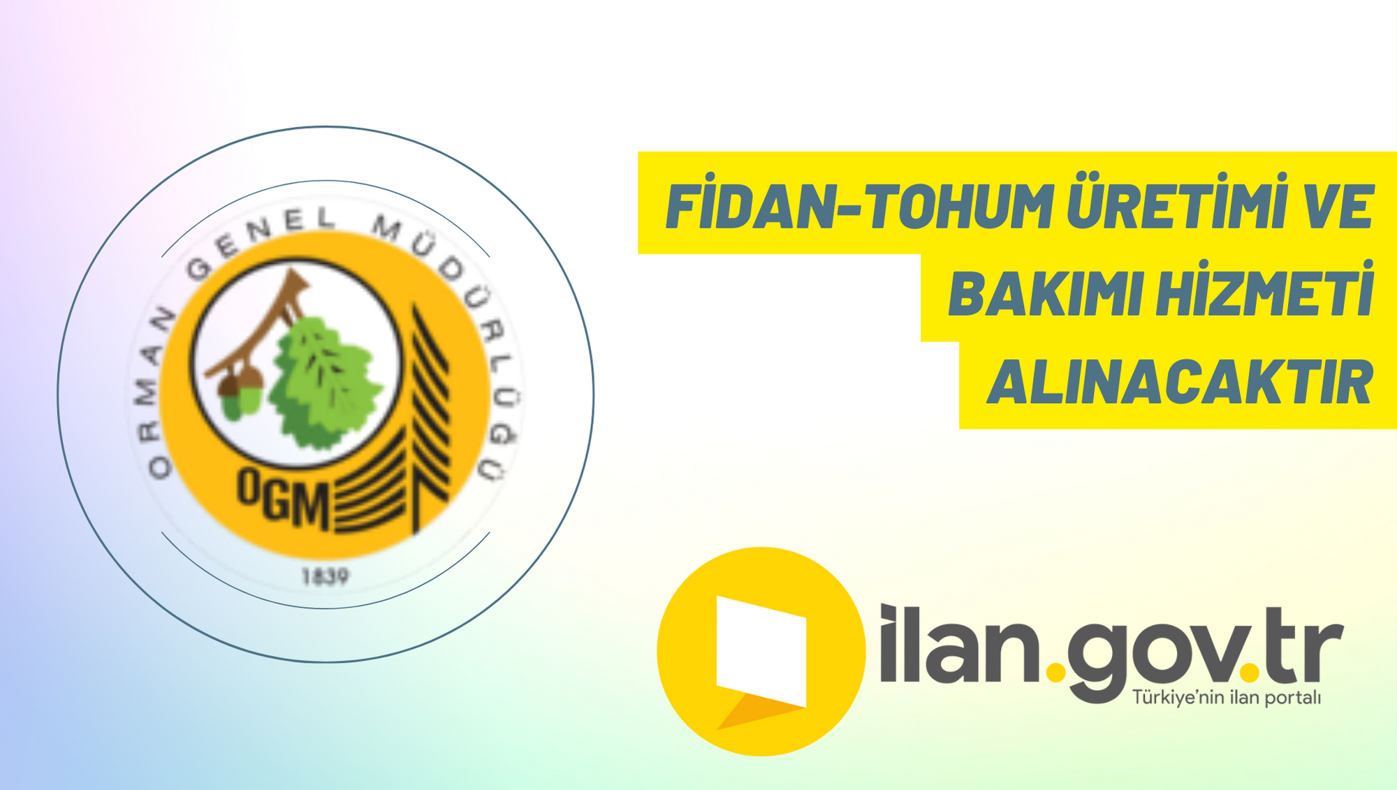 Fidan-tohum üretimi ve bakımı hizmeti alınacaktır