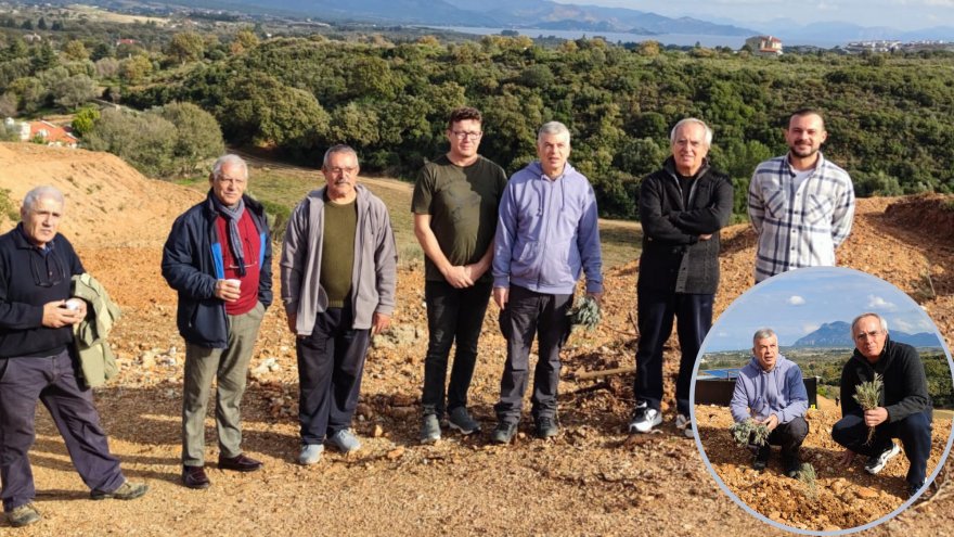 Lavanta ve tıbbi bitki fidanları toprakla buluşturuldu