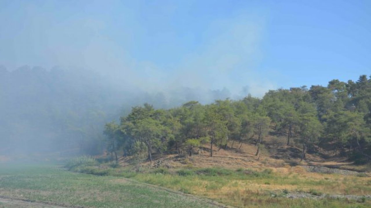 Köyceğiz’de orman yangını
