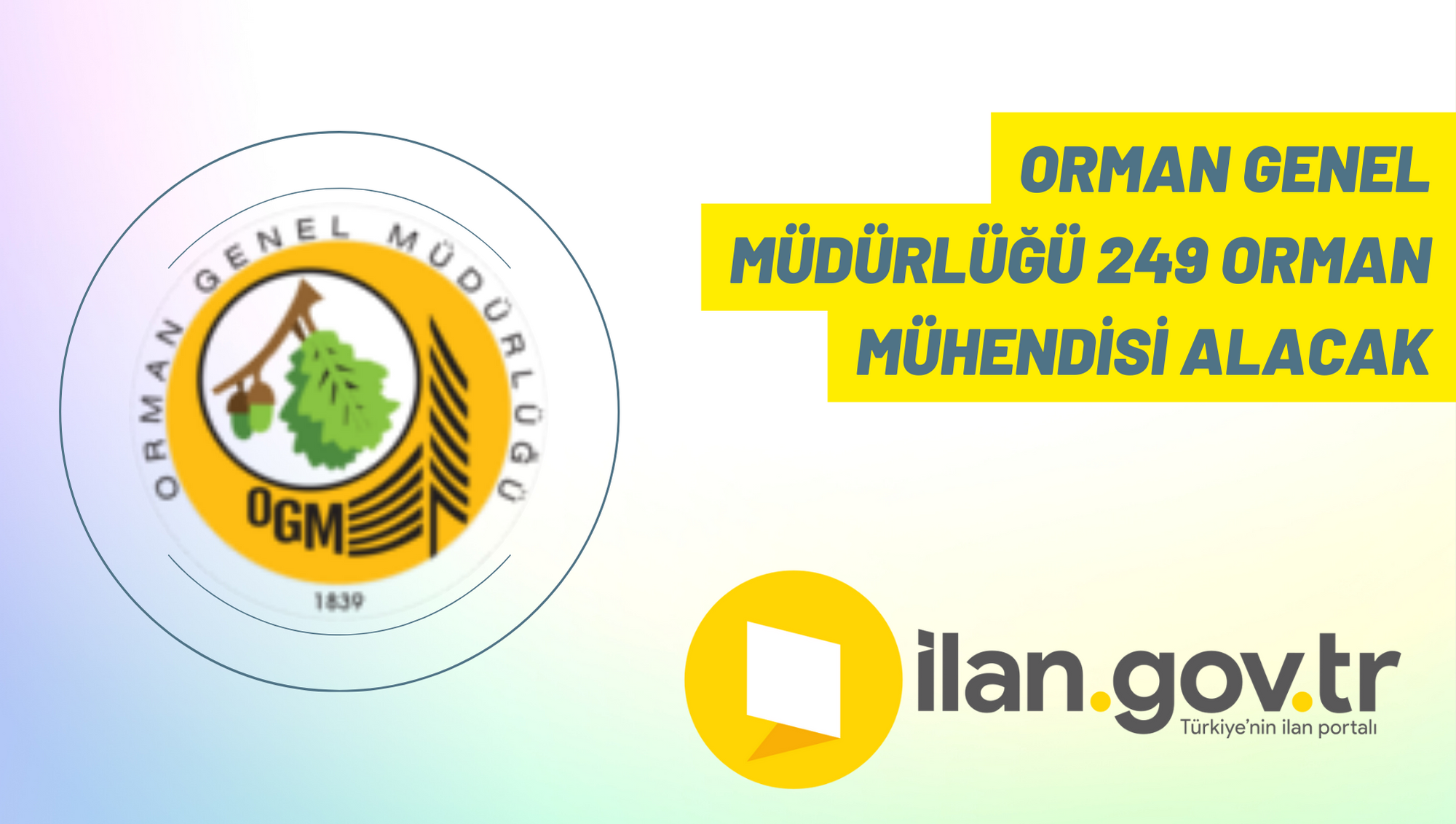 Orman Genel Müdürlüğü 249 Orman Mühendisi alacak
