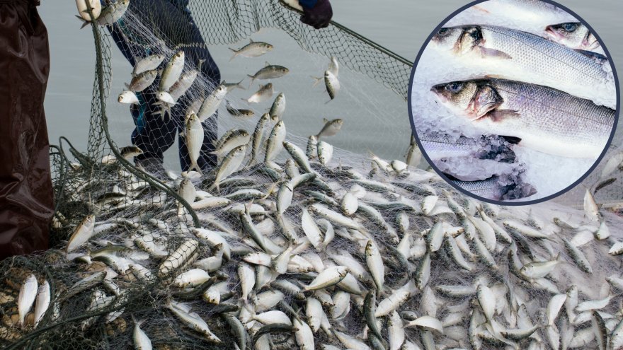 MUĞLA İHRACATTA 1 MİLYAR DOLAR HEDEFİNE ULAŞTI