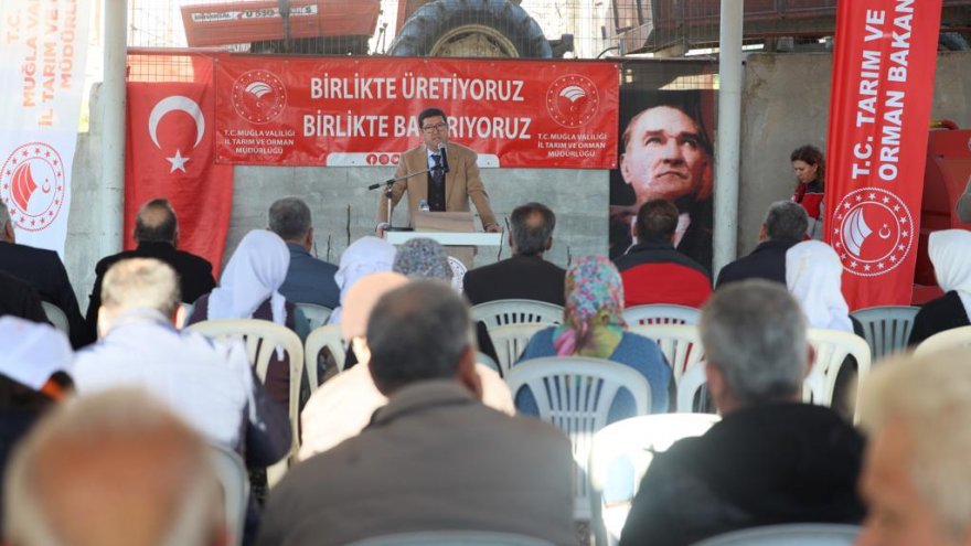 15 bin adet incir fidanı toprakla buluşturulacak