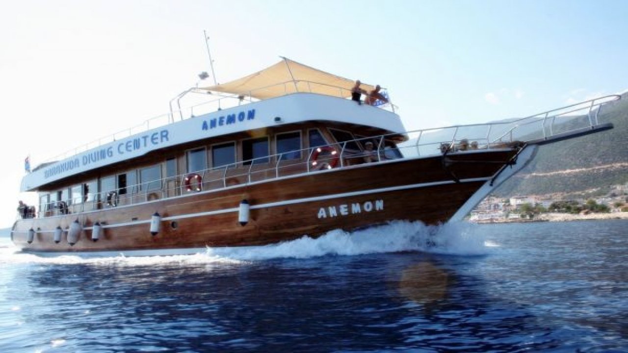 O kaptan serbest kaldı