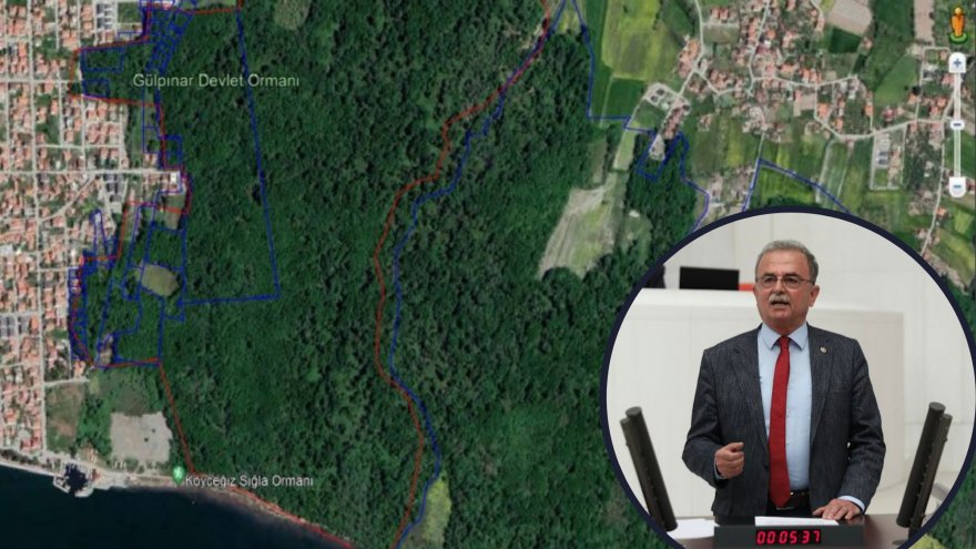 CHP’Lİ GİRGİN: “SIĞLA AĞAÇLARI RANTA KURBAN GİTMESİN”