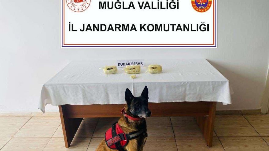 Yol kontrolünde 5 şahsın üzerinde uyuşturucu ele geçirildi