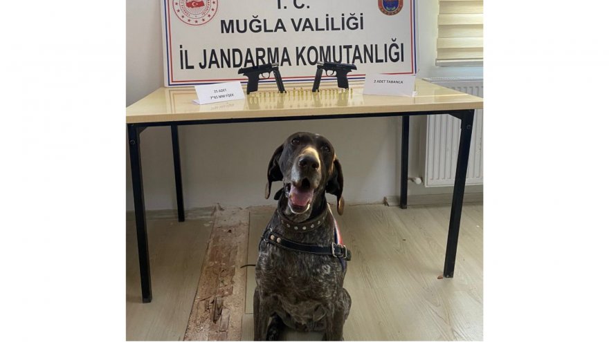 Yol kontrol noktasında 2 adet tabanca ele geçirildi