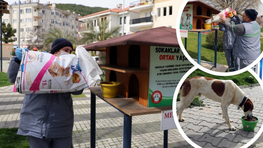 SOĞUK HAVALARDA  CAN DOSTLARIMIZIN YANINDAYIZ