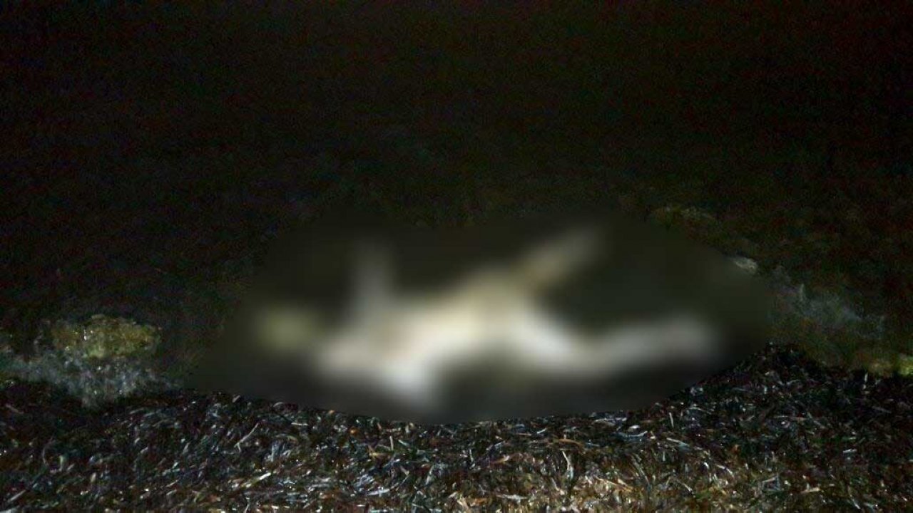 sahile vurmuş ceset bulundu