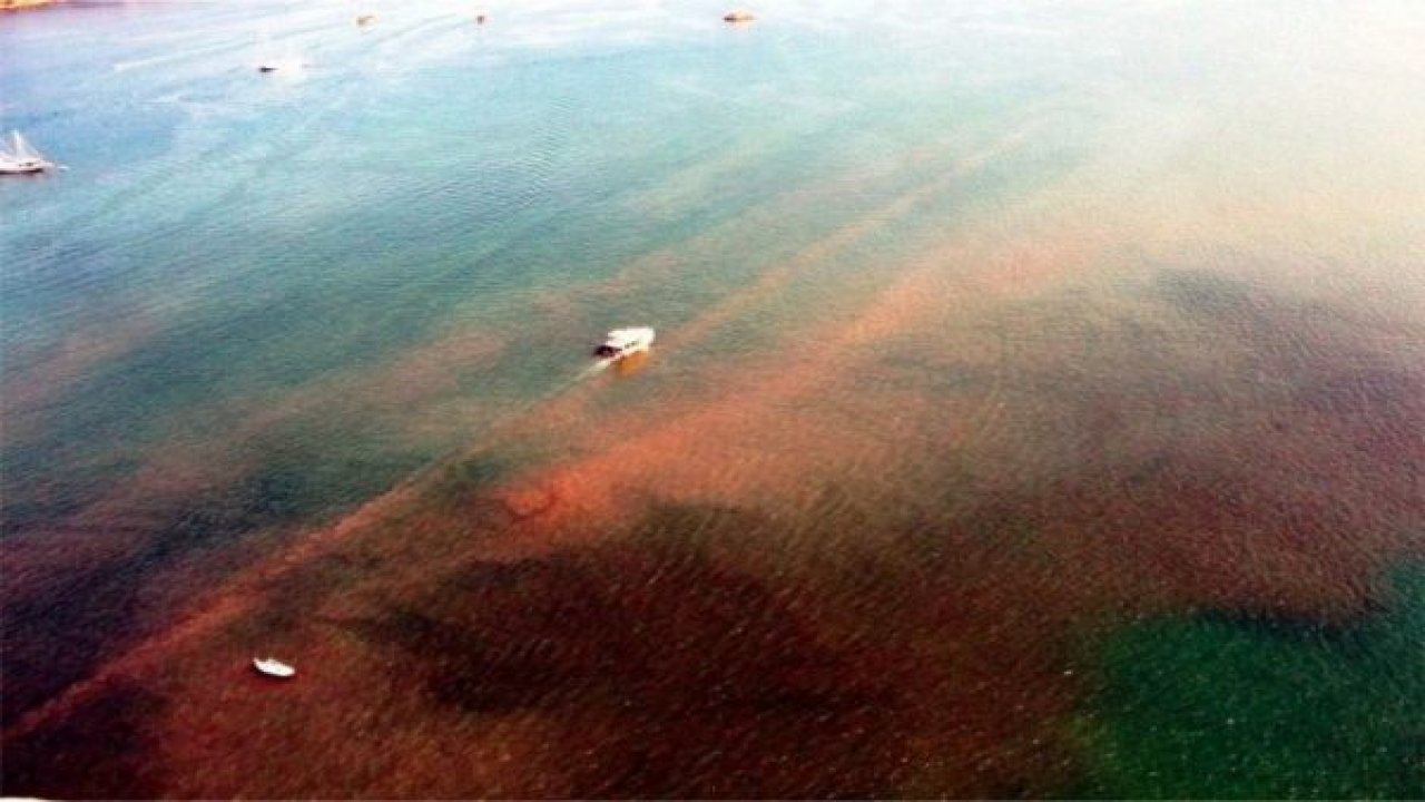 Fethiye’de Çamur Kabusu