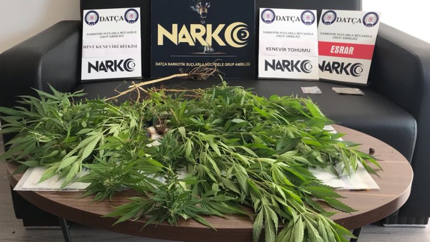 Uyuşturucu operasyonunda bir şüpheli yakalandı