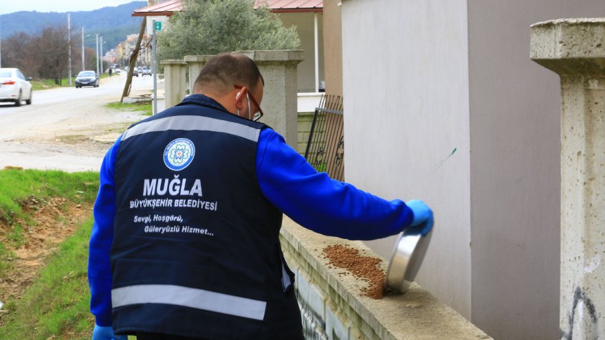 2023 YILINDA MAMA ÜRETİMİ ÜÇ KATINA ÇIKARTILACAK