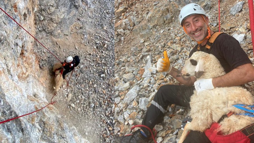 Kayalıklarda mahsur kalan koyun MAG-AME ekibince kurtarıldı