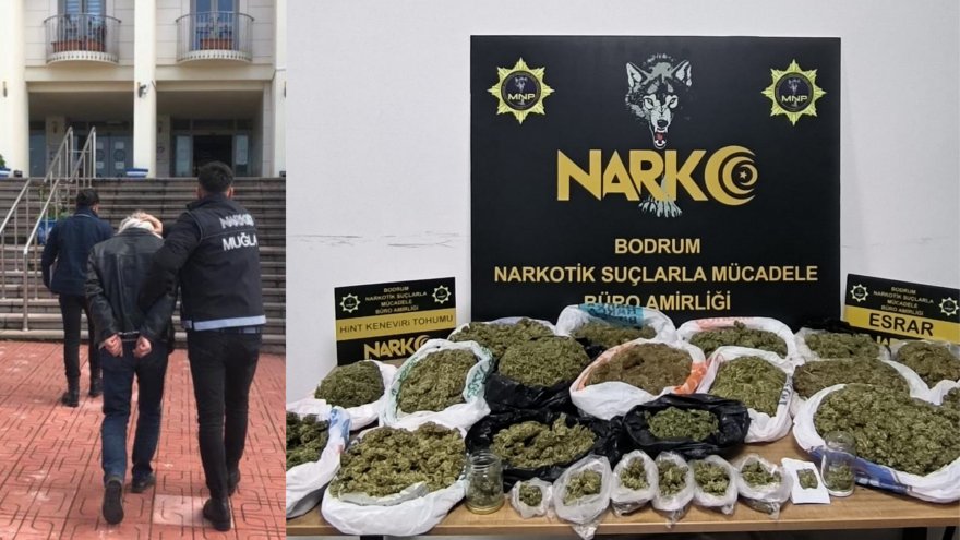 Bodrum'da uyuşturucu operasyonunda yakalanan zanlı tutuklandı