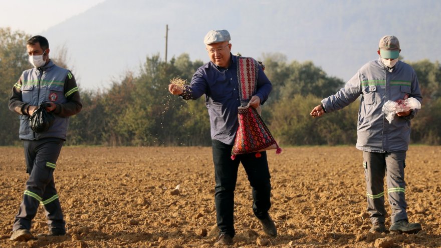 Ortaköy’de ‘tohum bankası’ kurulacak