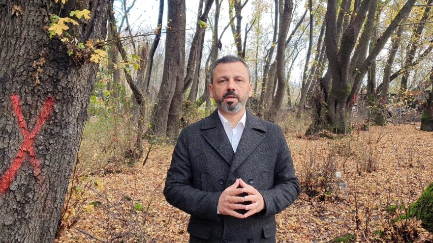 CHP'li Erbay: “Günlük ağaçlarına sahip çıkacağız”