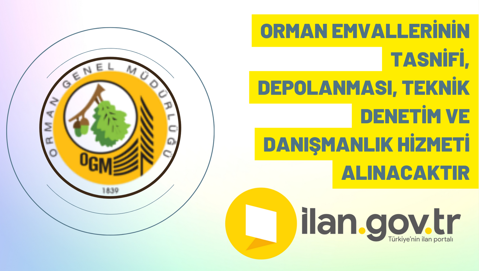 Orman emvallerinin tasnifi, depolanması, teknik denetim ve danışmanlık hizmeti alınacaktır
