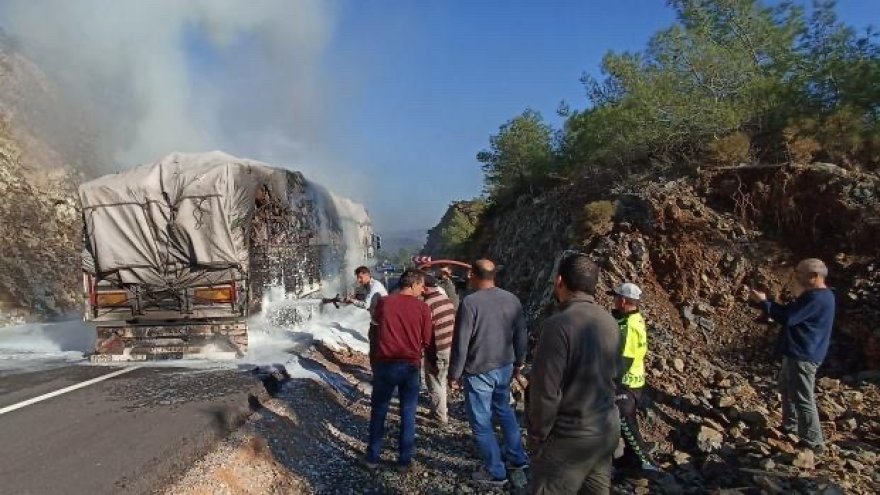 Tomruk yüklü tırda çıkan yangın söndürüldü