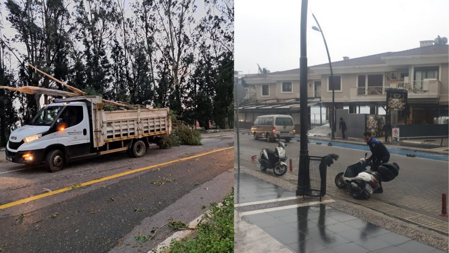 Marmaris’te fırtına ağaçları devirdi