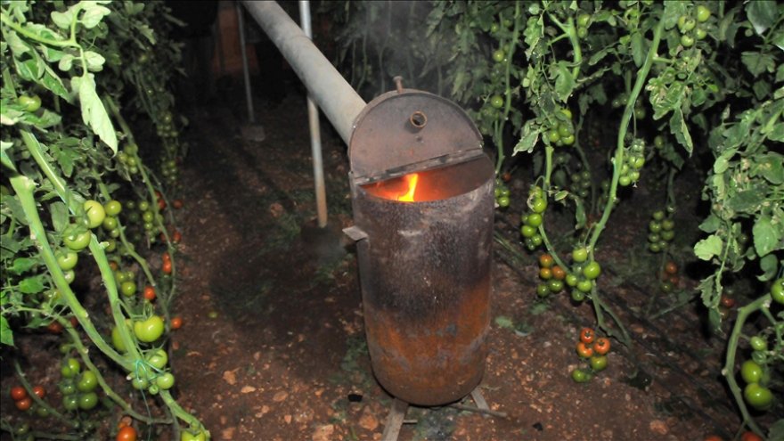Meteoroloji'den Muğla için zirai don uyarısı