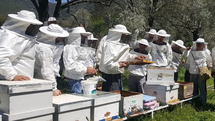 MUĞLA BALCILIĞINA BÜYÜKŞEHİR’DEN DESTEK