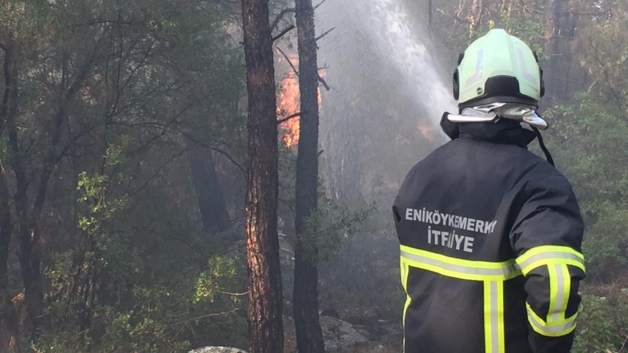 Milas'ta çıkan orman yangını söndürüldü