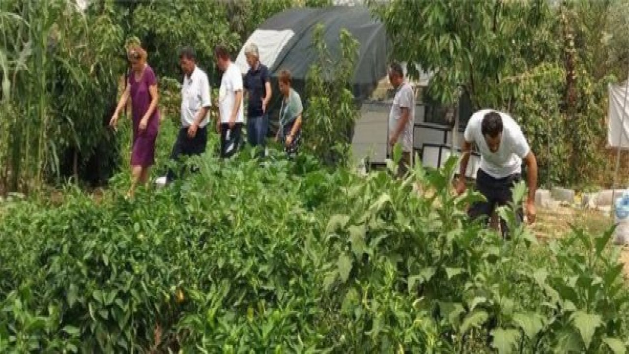 CKD Solucan Gübresi Projesi Başlatıyor