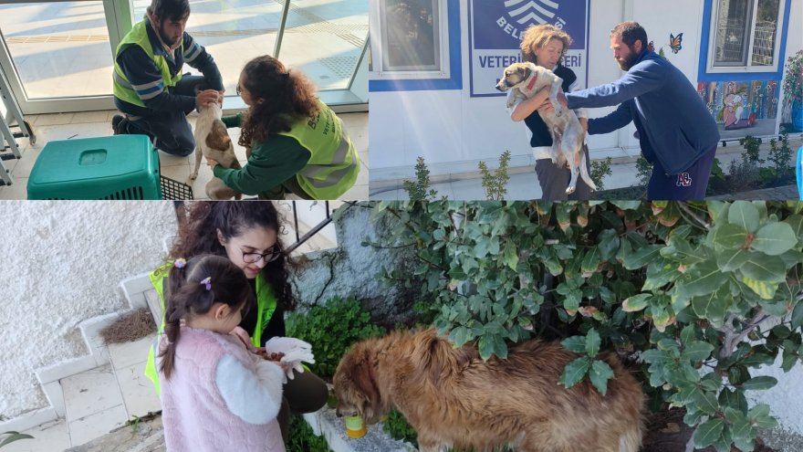 Depremden kurtulan Ege’nin hayvan sevgisi hayranlık uyandırdı