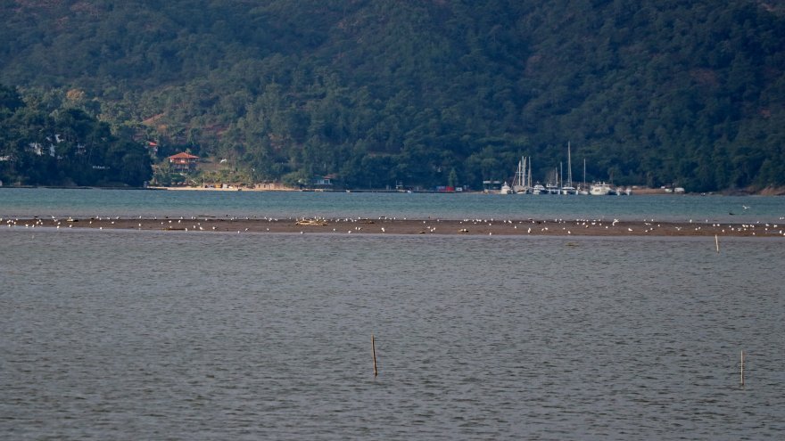 Fethiye'de deniz suyu çekildi