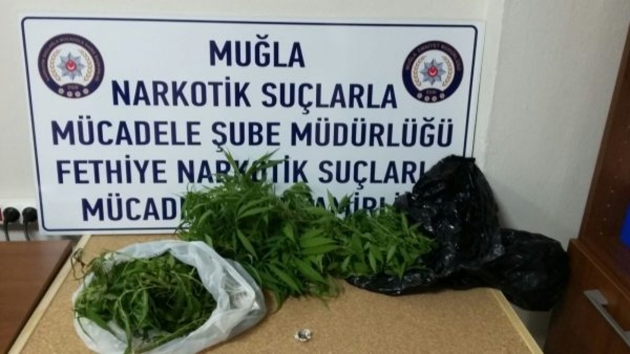 Fethiye'de uyuşturucu operasyonu
